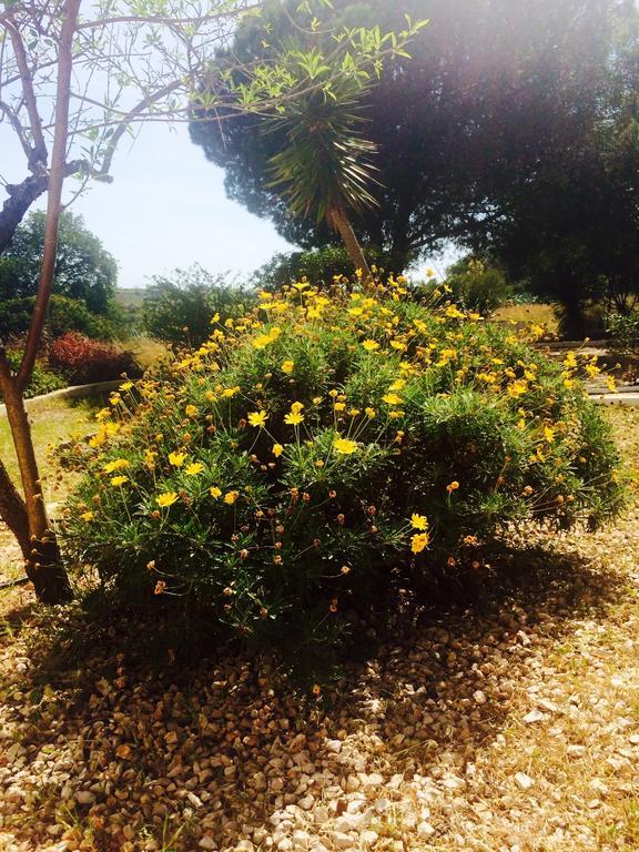 Quinta Do Atlantico Otel Santa Bárbara de Nexe Dış mekan fotoğraf